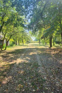 Земельна ділянка сільськогосподарського призначення в Михайлівці, площа 40 соток фото 2