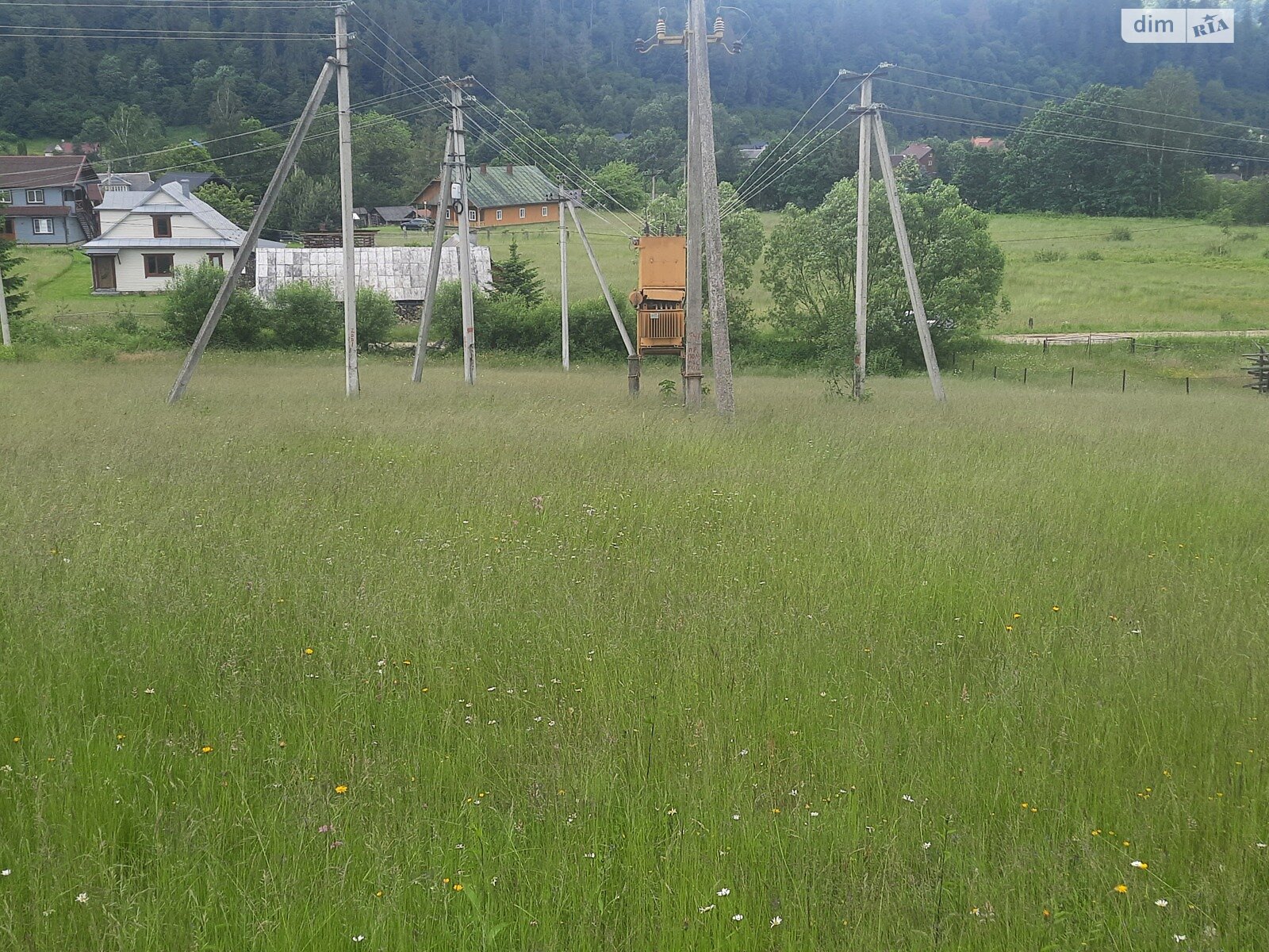 Земельный участок сельскохозяйственного назначения в Микуличине, площадь 27 соток фото 1