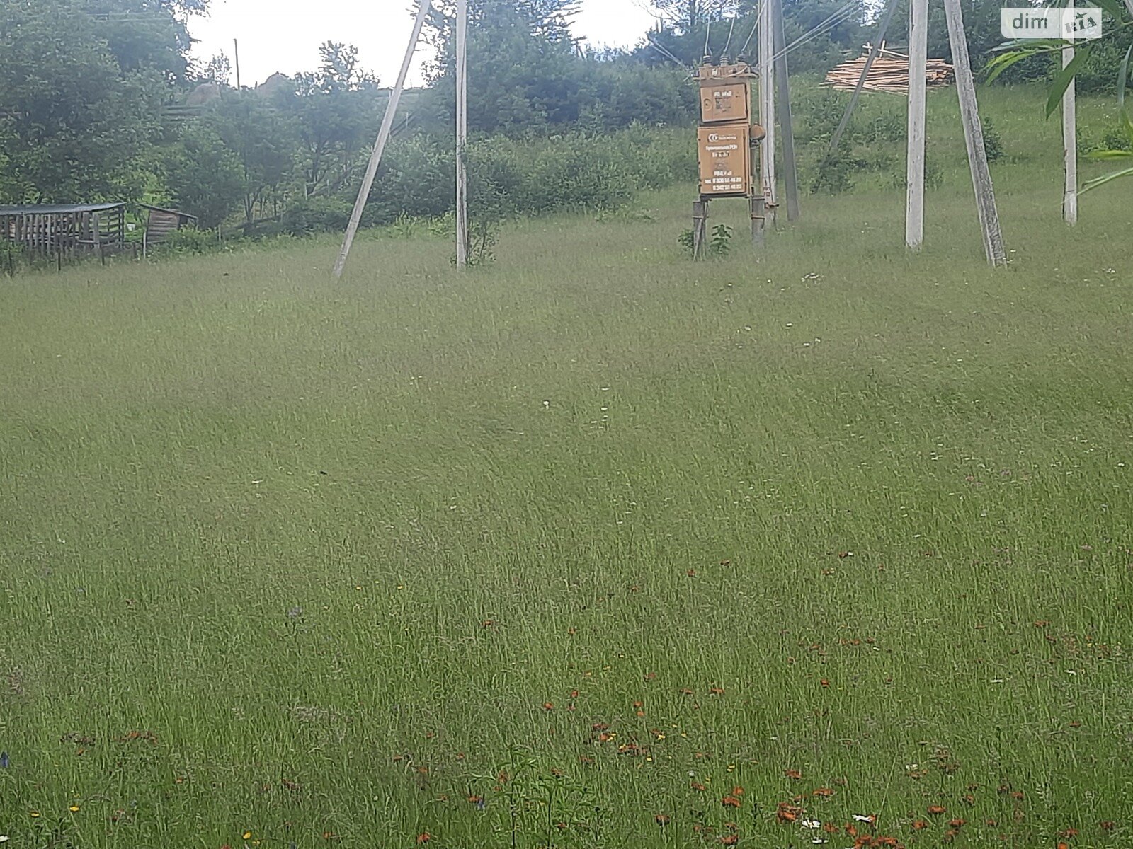 Земельный участок сельскохозяйственного назначения в Микуличине, площадь 27 соток фото 1
