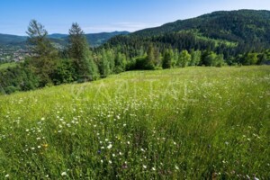 Земельна ділянка сільськогосподарського призначення в Микуличині, площа 53 сотки фото 2