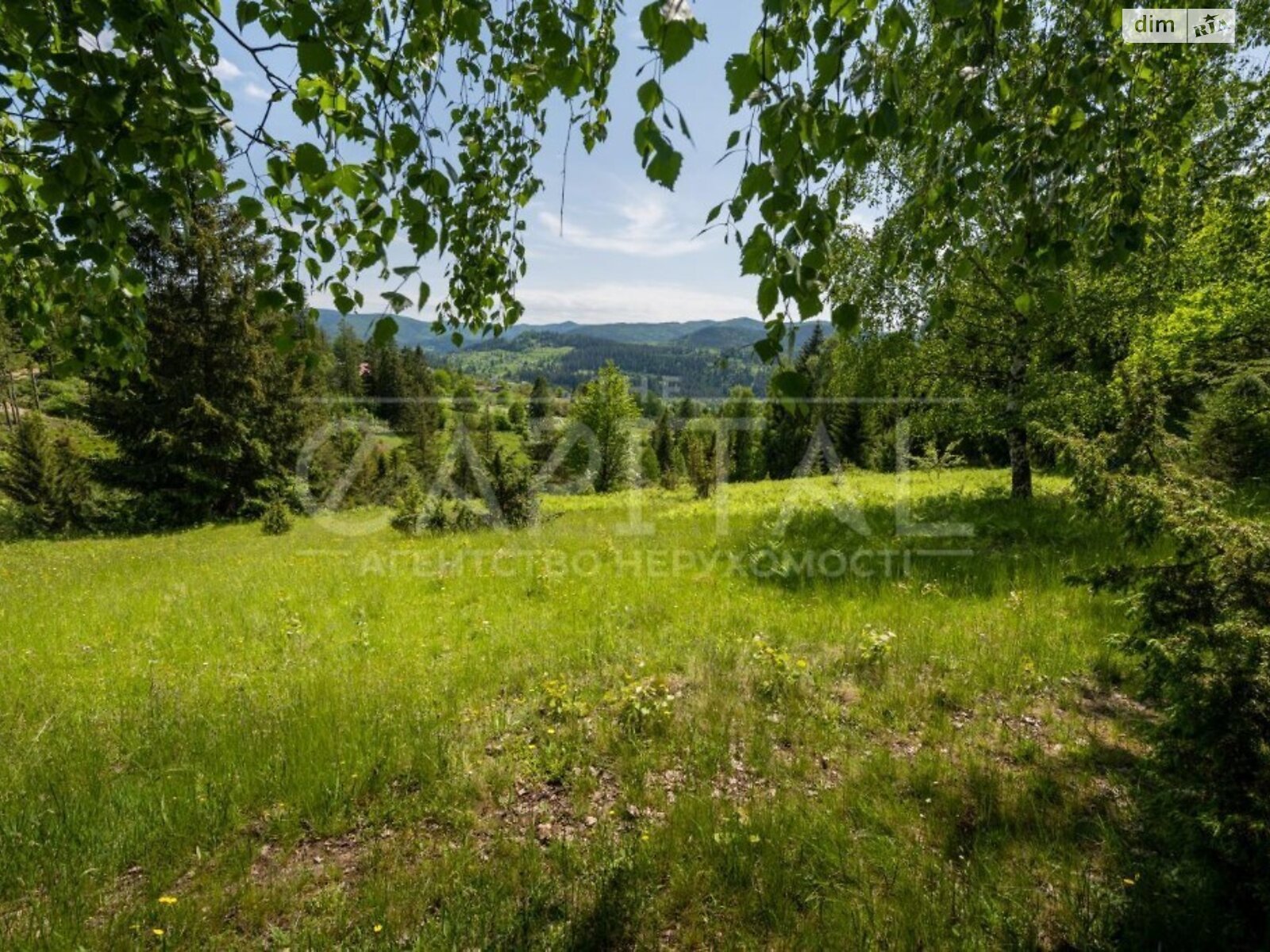 Земельна ділянка сільськогосподарського призначення в Микуличині, площа 129 соток фото 1