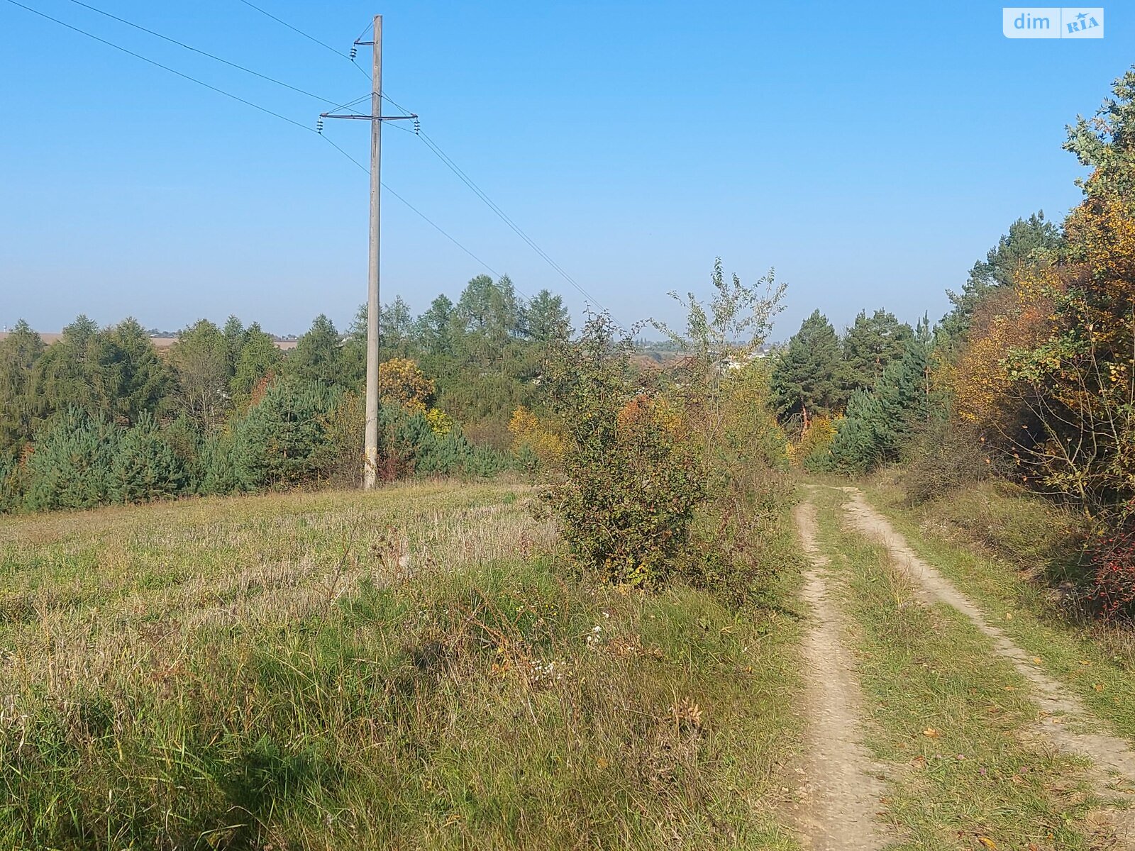 Земельный участок сельскохозяйственного назначения в Микулинцах, площадь 2 Га фото 1