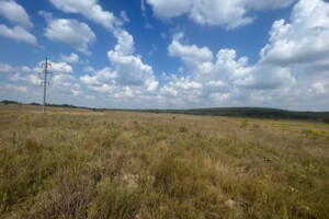 Земельный участок сельскохозяйственного назначения в Мироцком, площадь 1600 соток фото 2