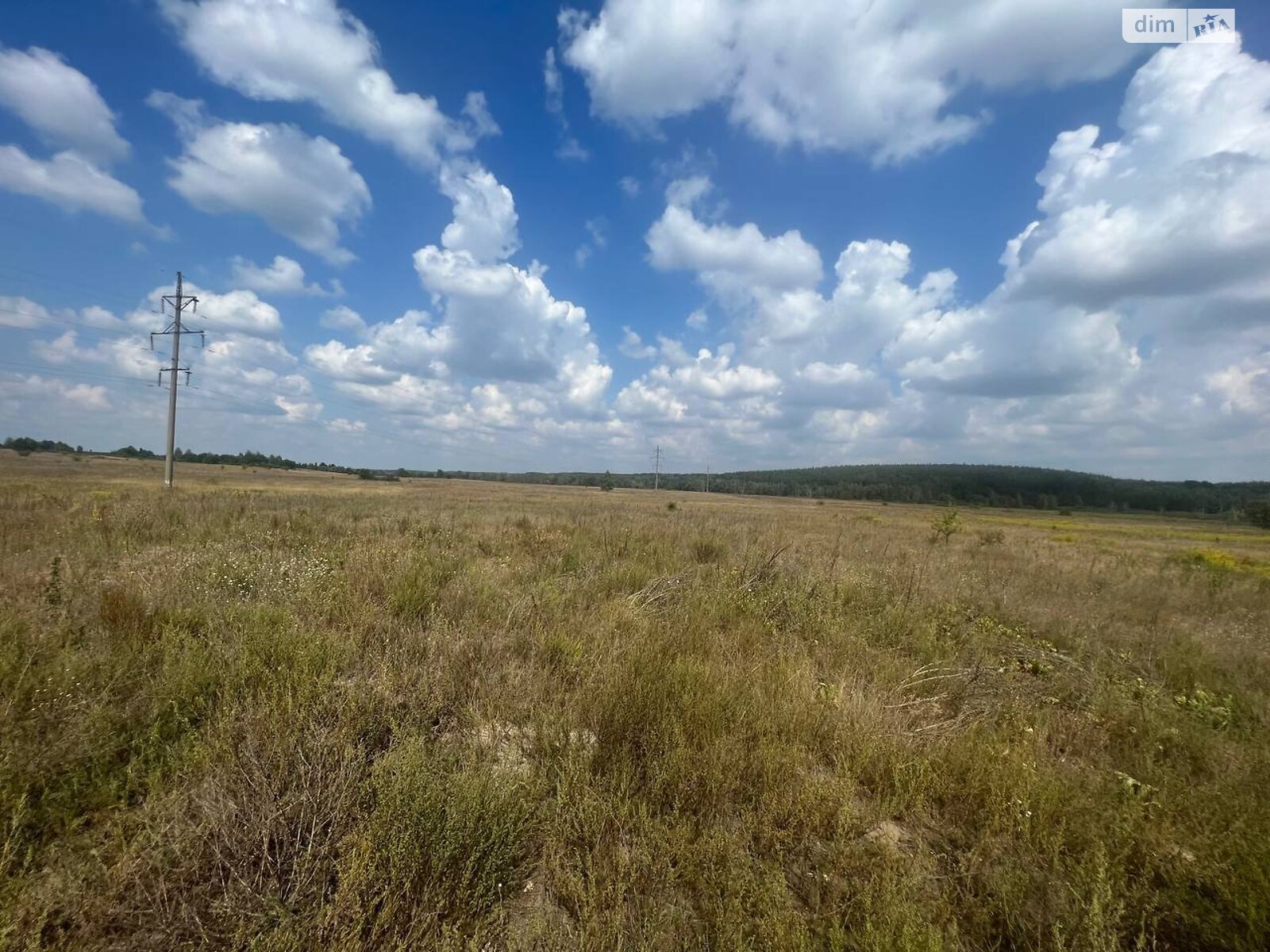 Земельна ділянка сільськогосподарського призначення в Мироцькому, площа 1600 соток фото 1