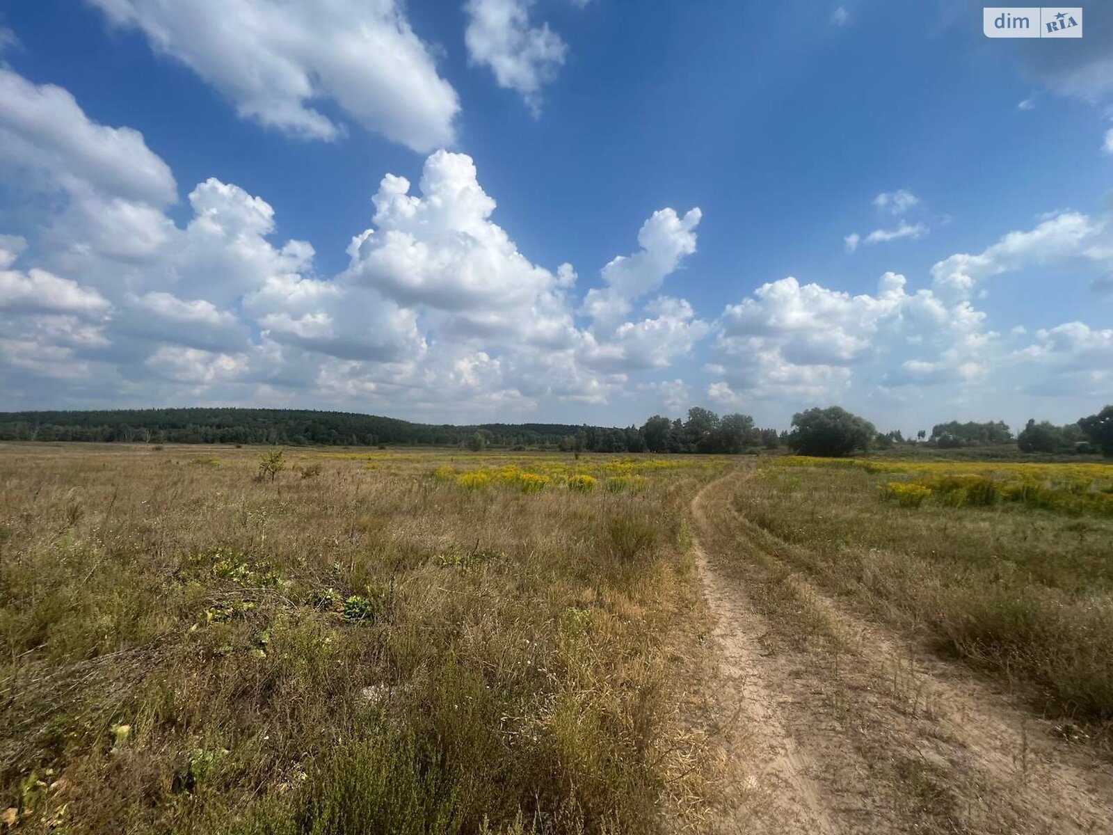 Земельна ділянка сільськогосподарського призначення в Мироцькому, площа 1600 соток фото 1