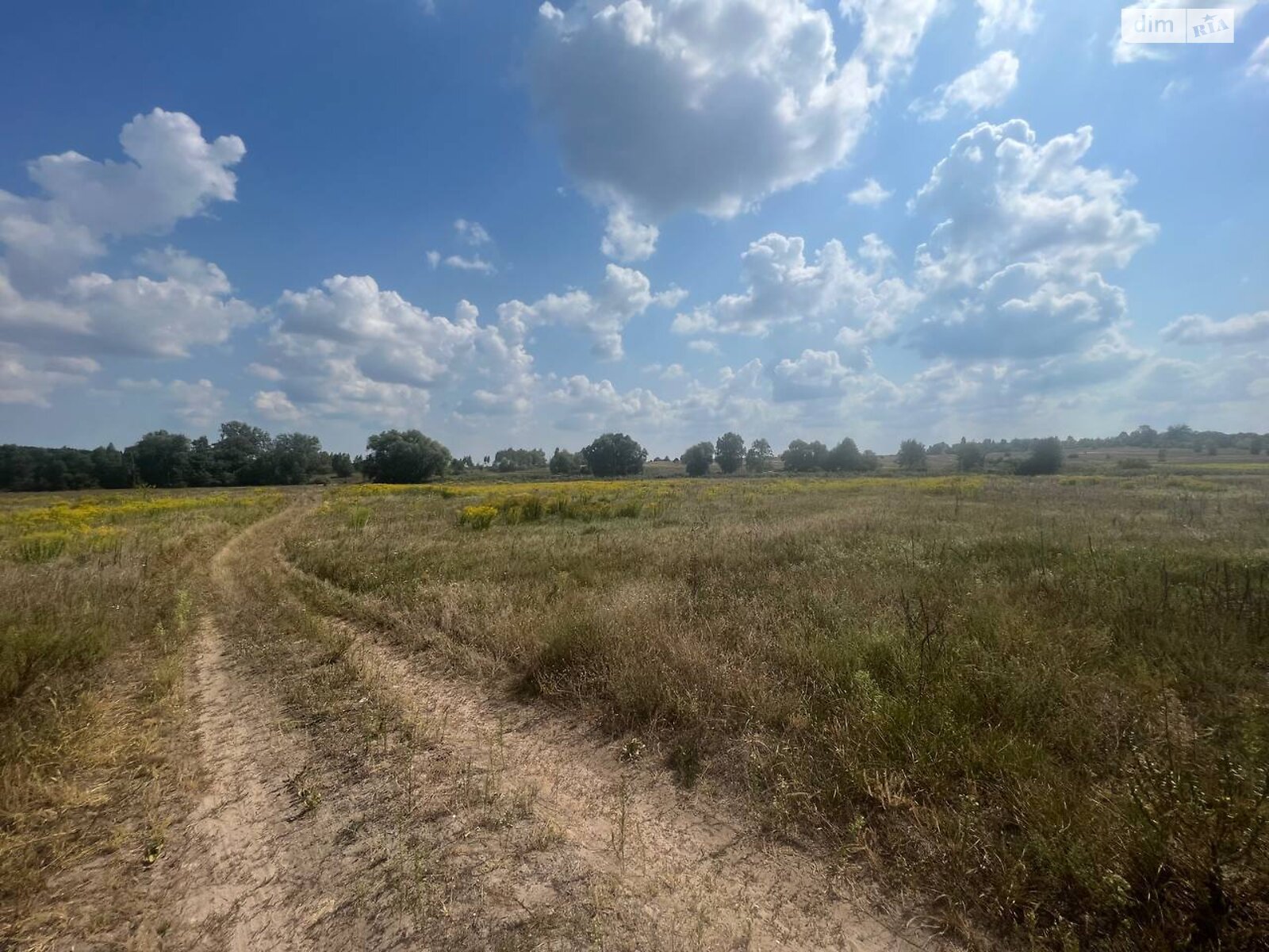 Земельный участок сельскохозяйственного назначения в Мироцком, площадь 1600 соток фото 1