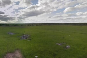 Земельный участок сельскохозяйственного назначения в Мироцком, площадь 100 соток фото 2