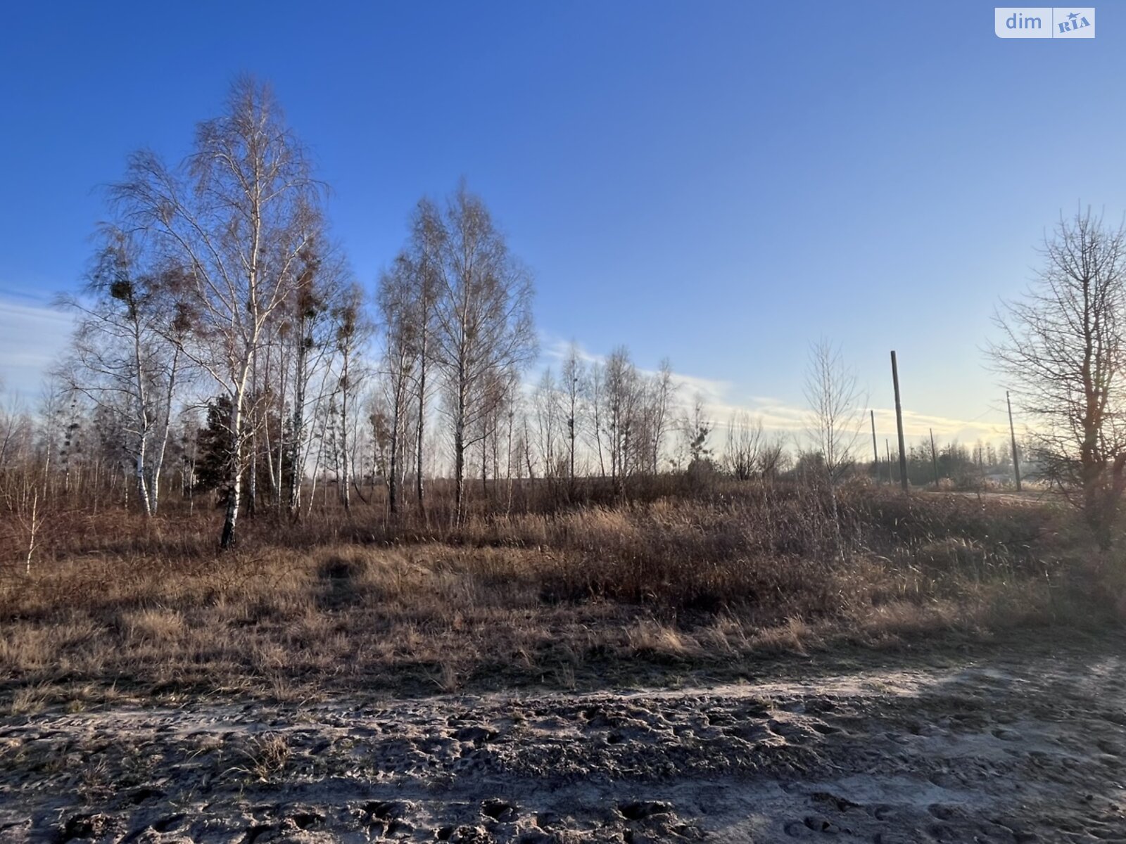 Земельна ділянка сільськогосподарського призначення в Мироцькому, площа 12 соток фото 1 Земельна ділянка сільськогосподарського призначення в Мироцькому, площа 12 соток фото 1