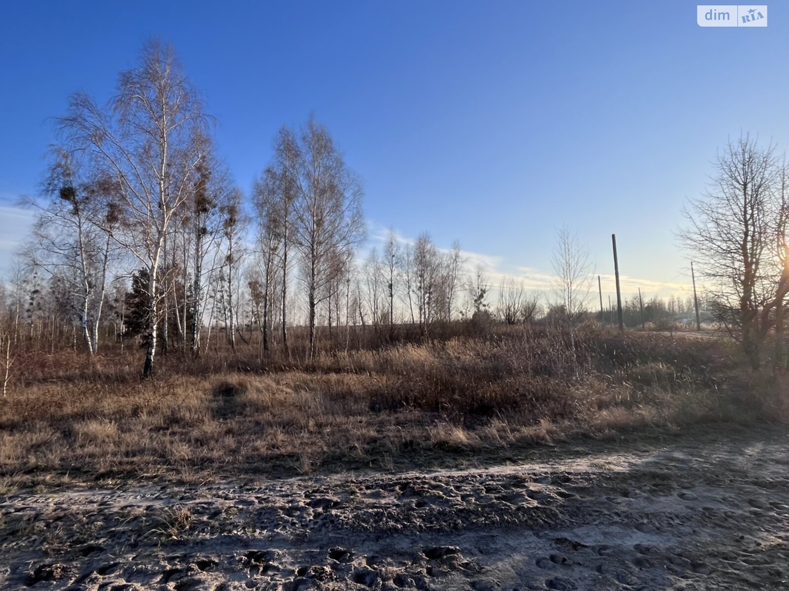 Земельна ділянка сільськогосподарського призначення в Мироцькому, площа 12 соток фото 1 Земельна ділянка сільськогосподарського призначення в Мироцькому, площа 12 соток фото 1
