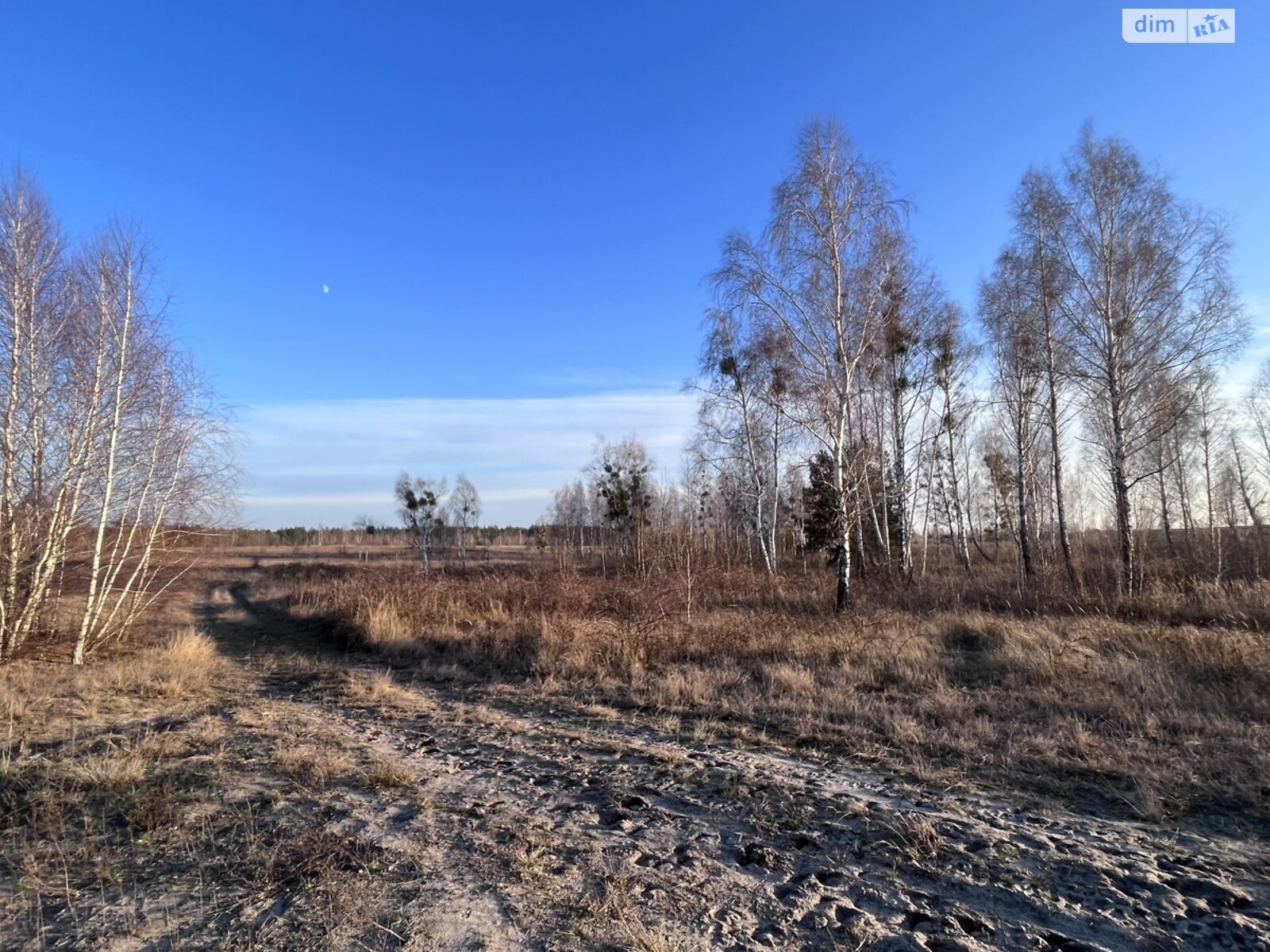 Земельна ділянка сільськогосподарського призначення в Мироцькому, площа 12 соток фото 1 Земельна ділянка сільськогосподарського призначення в Мироцькому, площа 12 соток фото 1