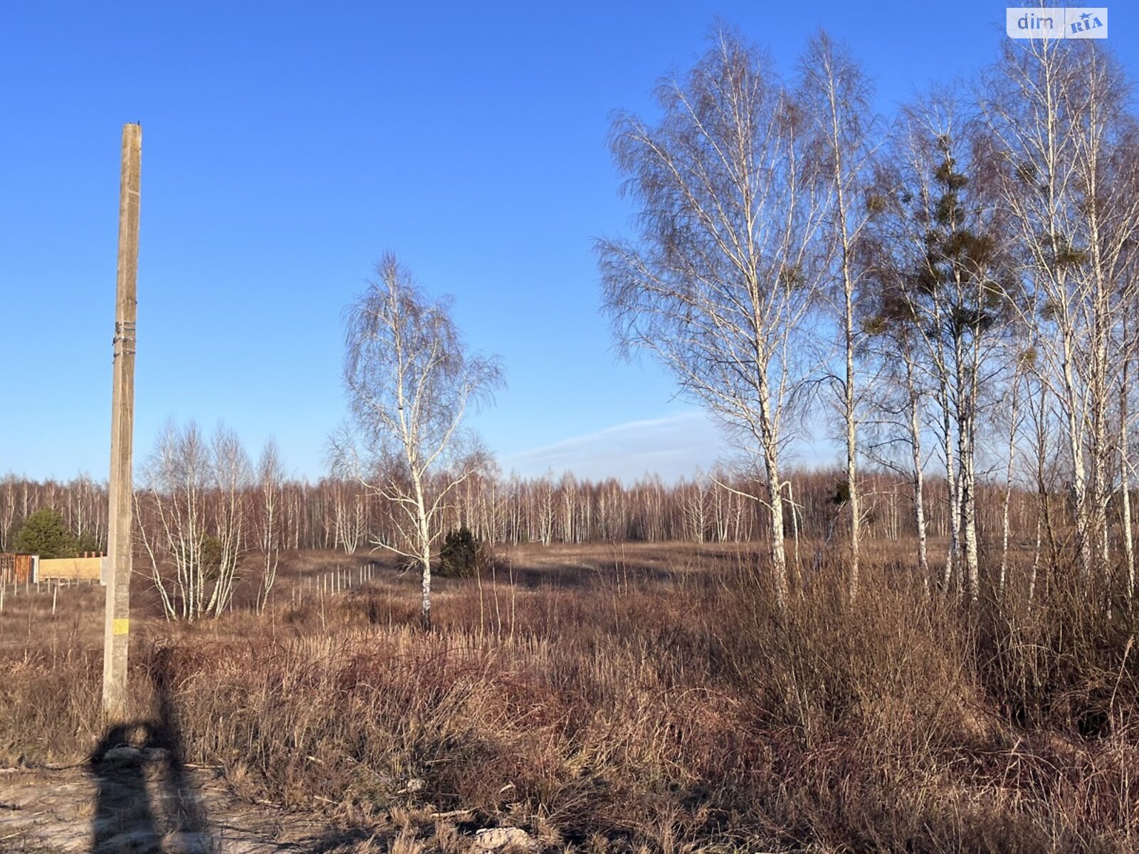 Земельна ділянка сільськогосподарського призначення в Мироцькому, площа 12 соток фото 1 Земельна ділянка сільськогосподарського призначення в Мироцькому, площа 12 соток фото 1