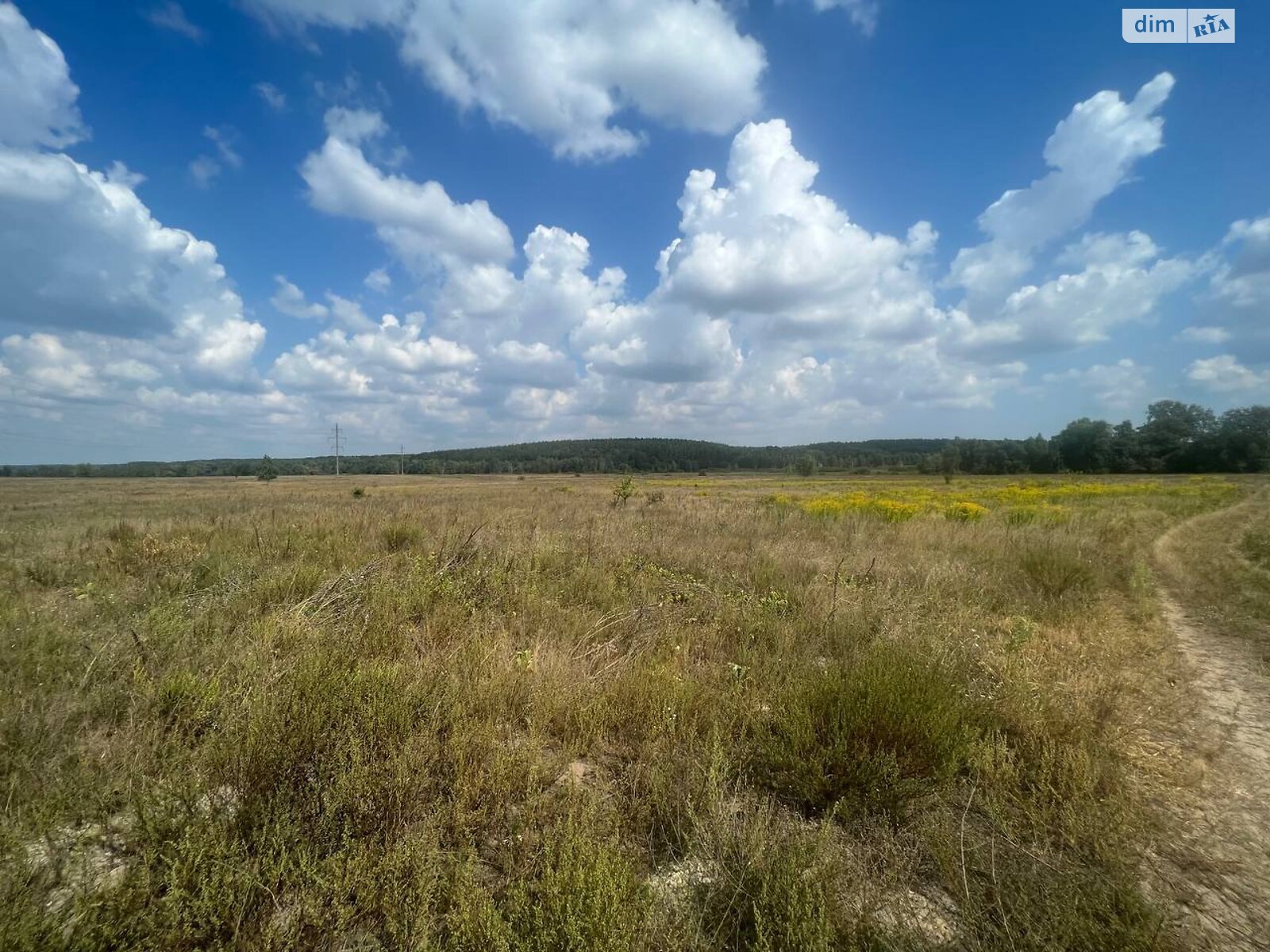 Земельна ділянка сільськогосподарського призначення в Мироцькому, площа 1.5982 Га фото 1 Земельна ділянка сільськогосподарського призначення в Мироцькому, площа 1.5982 Га фото 1