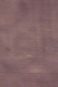 Земельна ділянка сільськогосподарського призначення в Мисайлівці, площа 2.5498 Га фото 1 Земельна ділянка сільськогосподарського призначення в Мисайлівці, площа 2.5498 Га фото 1