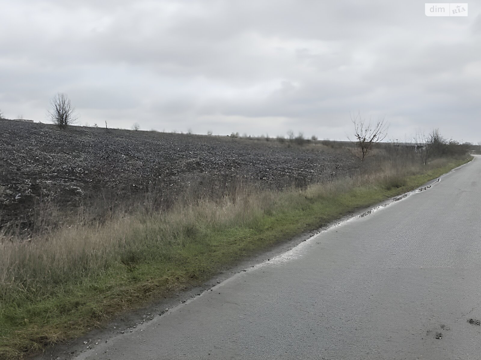 Земельный участок сельскохозяйственного назначения в Мишковичах, площадь 138 соток фото 1 Земельный участок сельскохозяйственного назначения в Мишковичах, площадь 138 соток фото 1