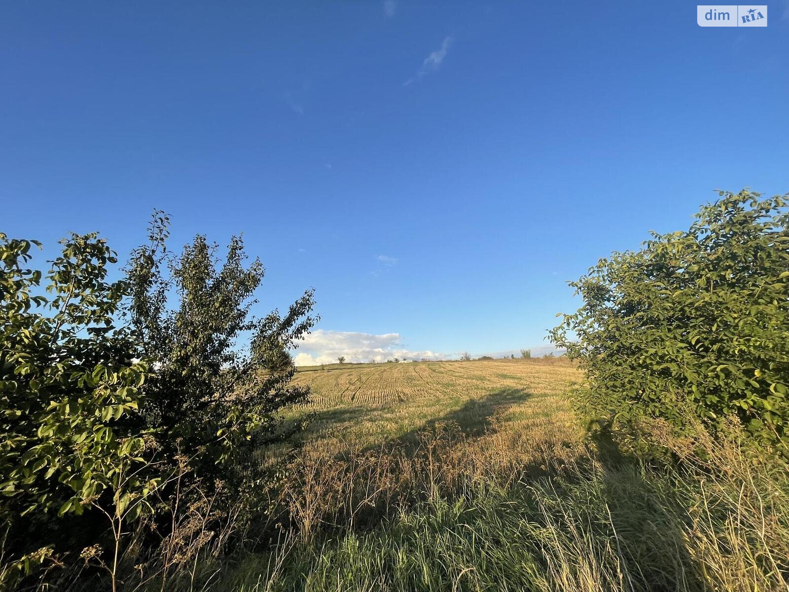 Земельный участок сельскохозяйственного назначения в Мишковичах, площадь 138 соток фото 1 Земельный участок сельскохозяйственного назначения в Мишковичах, площадь 138 соток фото 1