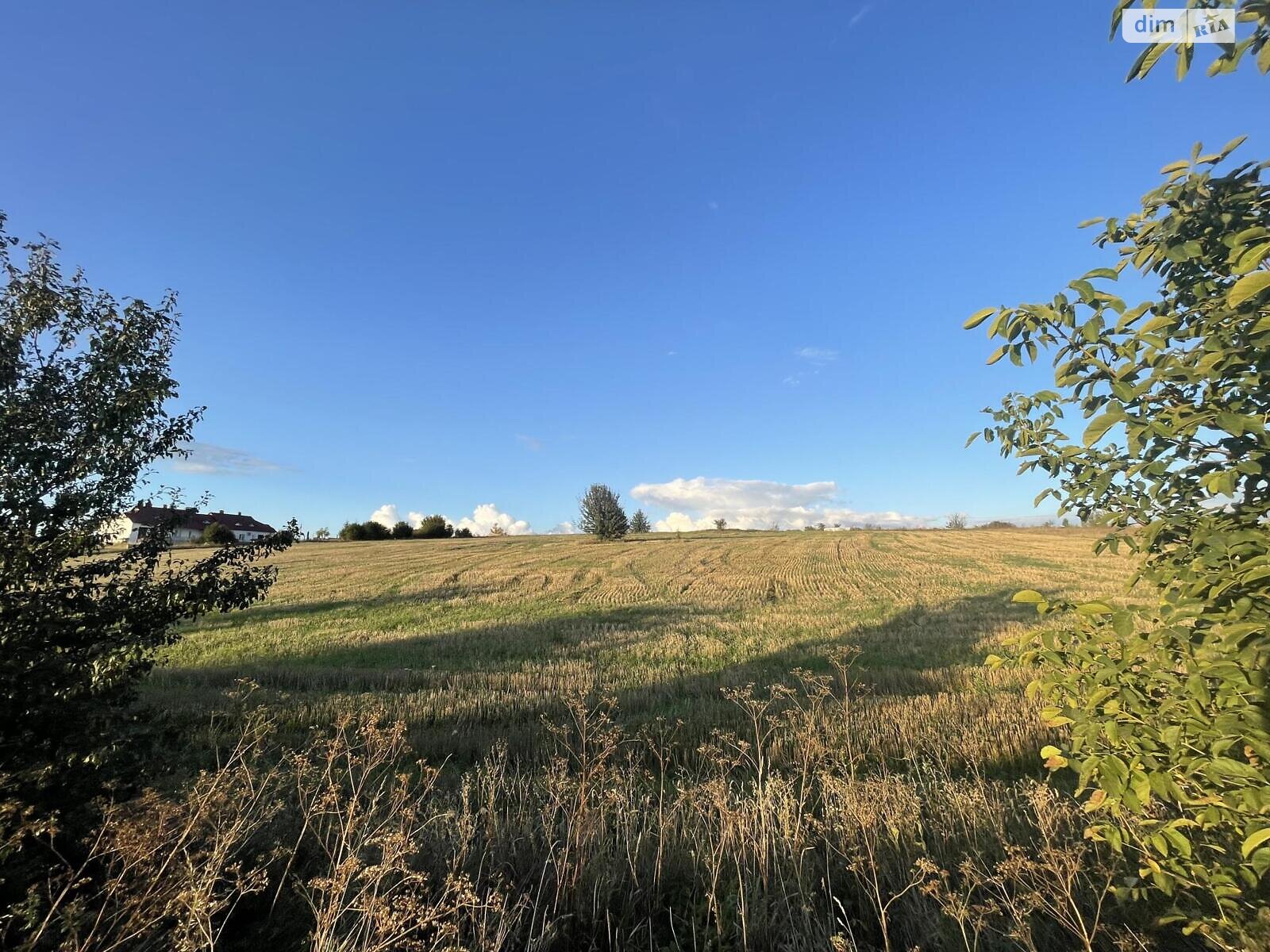 Земельный участок сельскохозяйственного назначения в Мишковичах, площадь 138 соток фото 1 Земельный участок сельскохозяйственного назначения в Мишковичах, площадь 138 соток фото 1