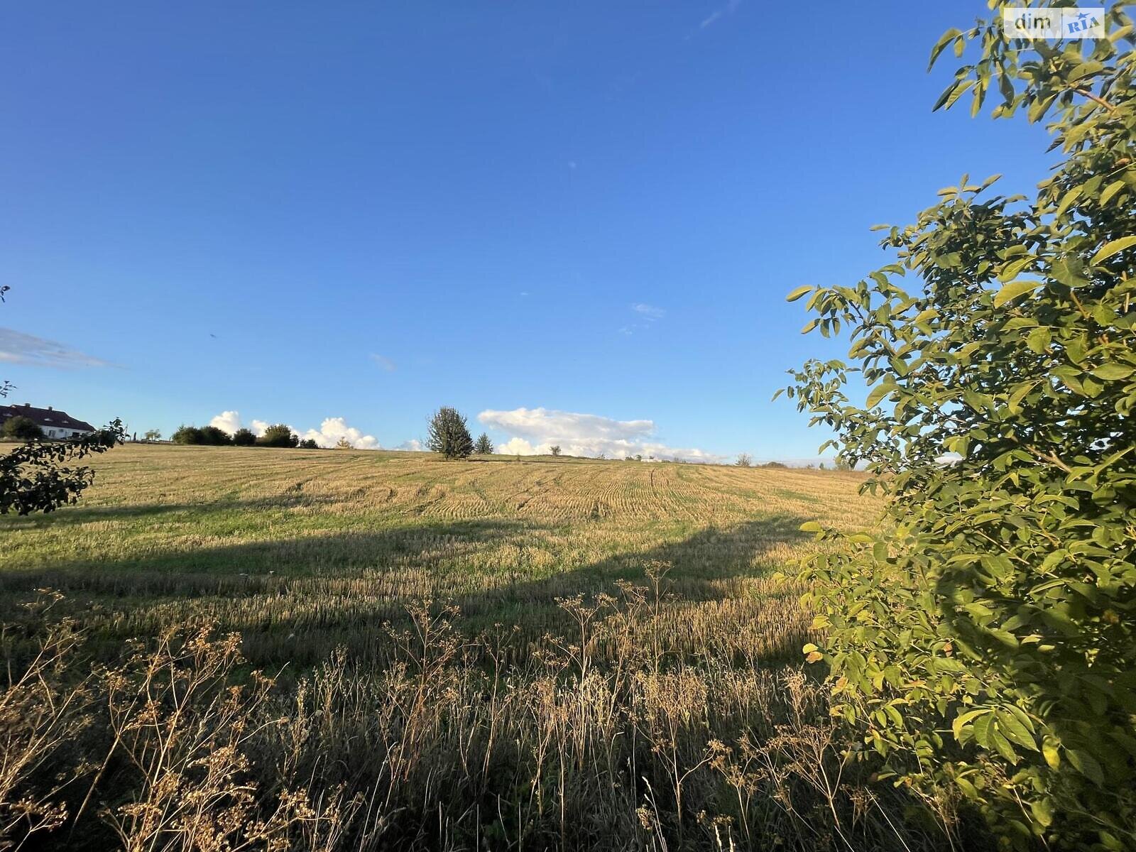 Земельный участок сельскохозяйственного назначения в Мишковичах, площадь 138 соток фото 1 Земельный участок сельскохозяйственного назначения в Мишковичах, площадь 138 соток фото 1