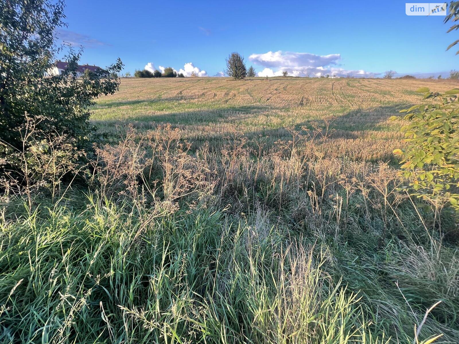 Земельный участок сельскохозяйственного назначения в Мишковичах, площадь 138 соток фото 1 Земельный участок сельскохозяйственного назначения в Мишковичах, площадь 138 соток фото 1