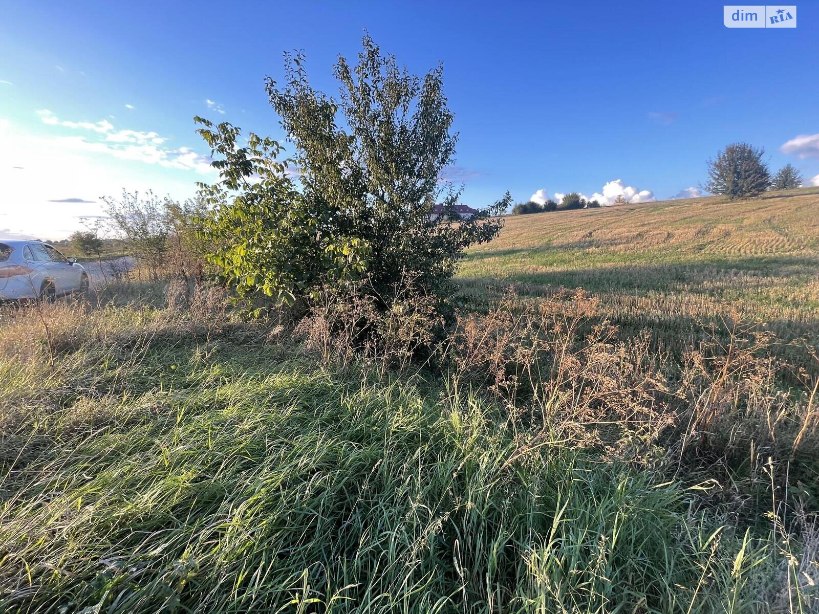 Земельный участок сельскохозяйственного назначения в Мишковичах, площадь 138 соток фото 1 Земельный участок сельскохозяйственного назначения в Мишковичах, площадь 138 соток фото 1