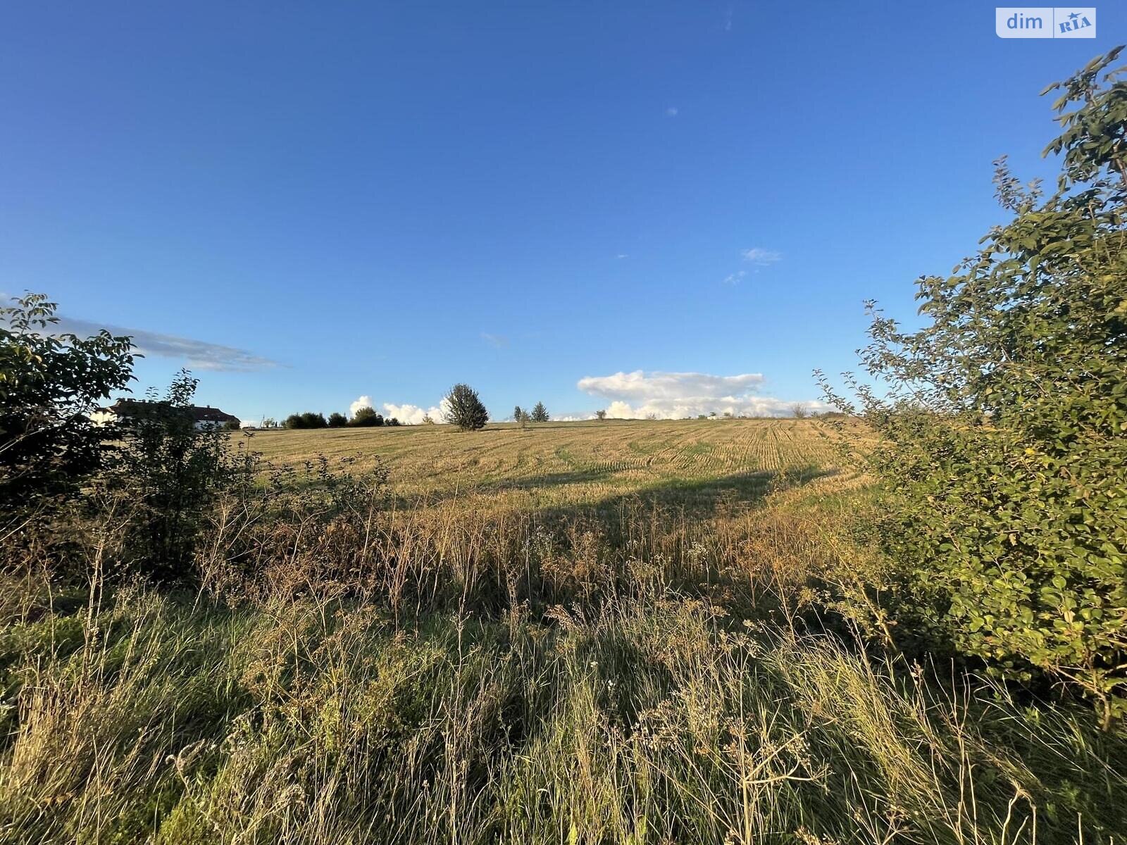 Земельный участок сельскохозяйственного назначения в Мишковичах, площадь 138 соток фото 1 Земельный участок сельскохозяйственного назначения в Мишковичах, площадь 138 соток фото 1