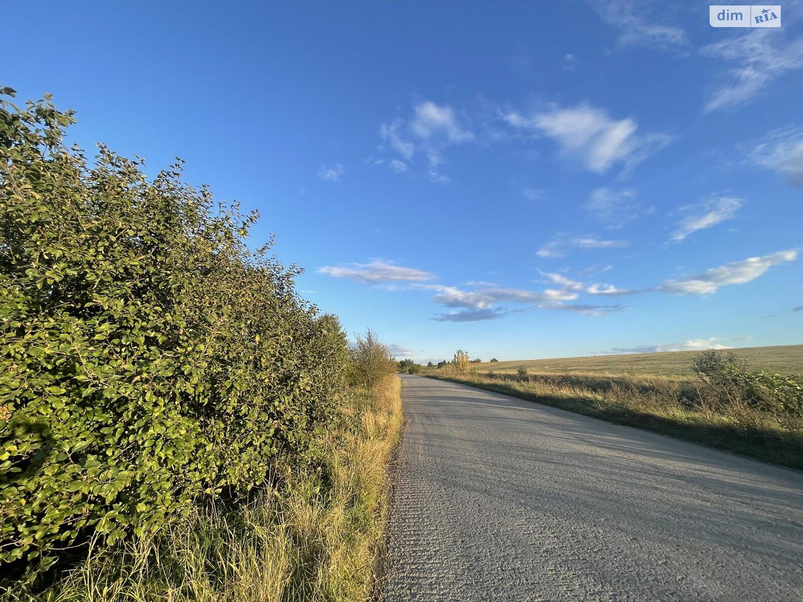 Земельный участок сельскохозяйственного назначения в Мишковичах, площадь 138 соток фото 1 Земельный участок сельскохозяйственного назначения в Мишковичах, площадь 138 соток фото 1