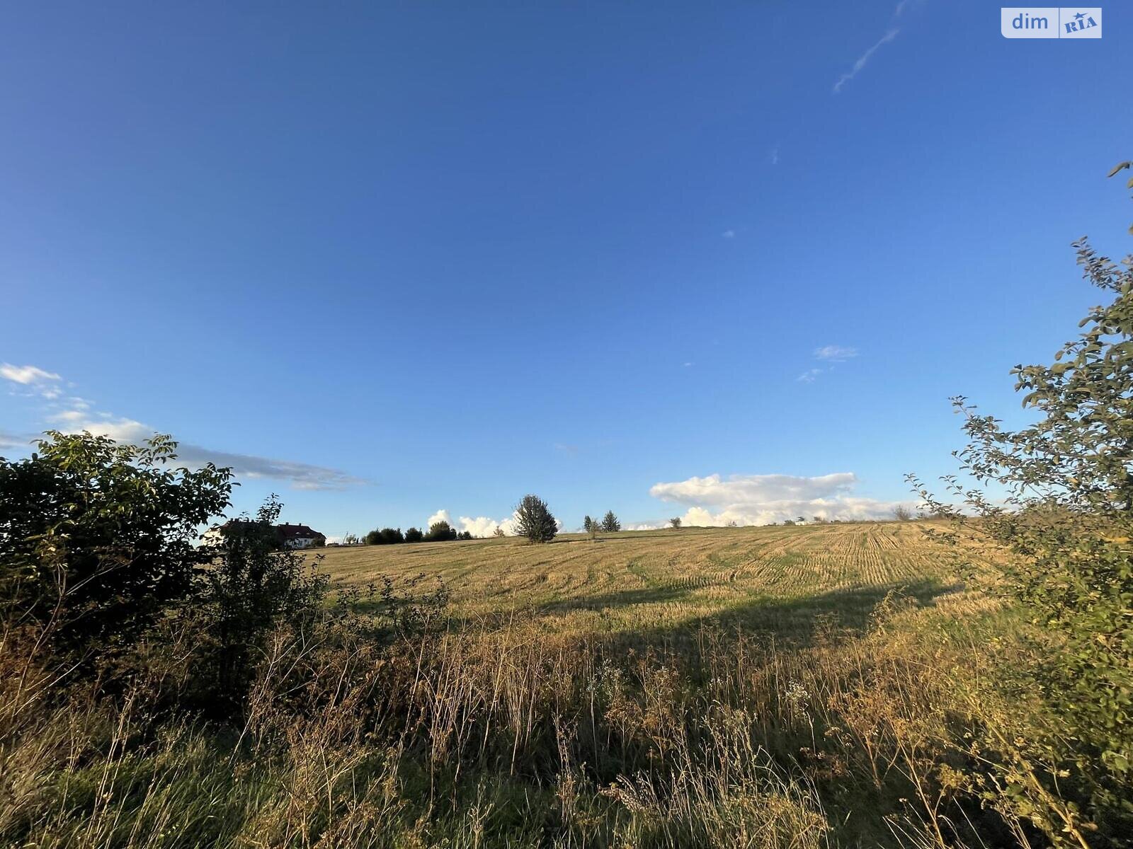Земельный участок сельскохозяйственного назначения в Мишковичах, площадь 138 соток фото 1 Земельный участок сельскохозяйственного назначения в Мишковичах, площадь 138 соток фото 1