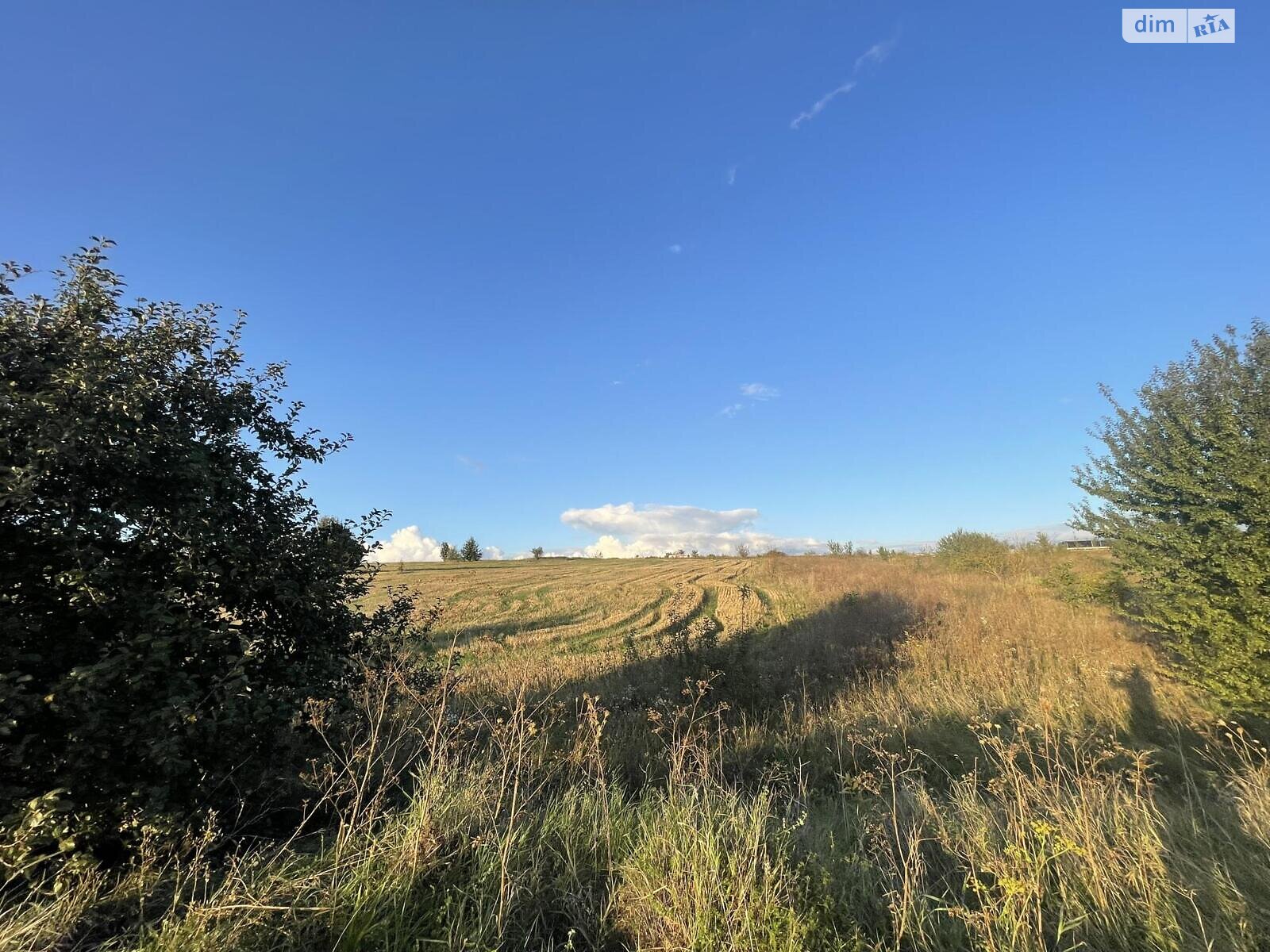 Земельный участок сельскохозяйственного назначения в Мишковичах, площадь 138 соток фото 1 Земельный участок сельскохозяйственного назначения в Мишковичах, площадь 138 соток фото 1