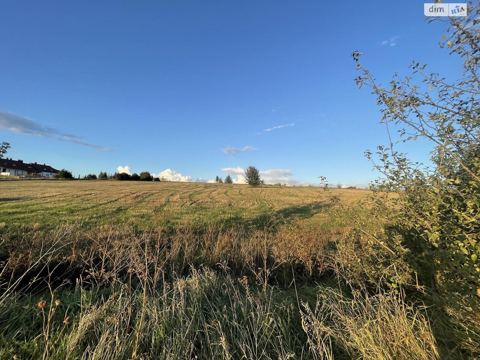 Земельный участок сельскохозяйственного назначения в Мишковичах, площадь 138 соток фото 1 Земельный участок сельскохозяйственного назначения в Мишковичах, площадь 138 соток фото 1