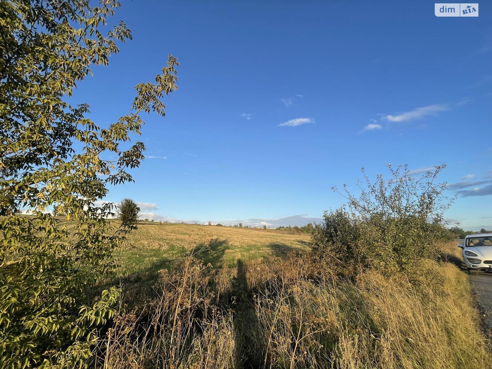 Земельный участок сельскохозяйственного назначения в Мишковичах, площадь 138 соток фото 1 Земельный участок сельскохозяйственного назначения в Мишковичах, площадь 138 соток фото 1