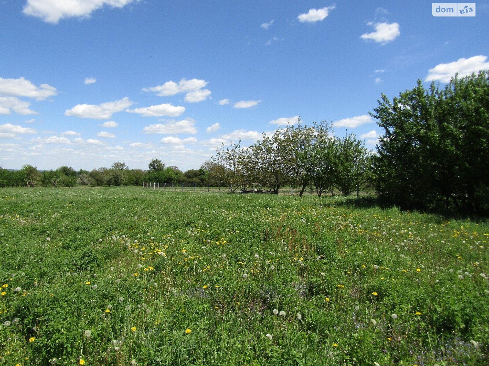 Земельный участок сельскохозяйственного назначения в Мизяковских Хуторах, площадь 31 сотка фото 1