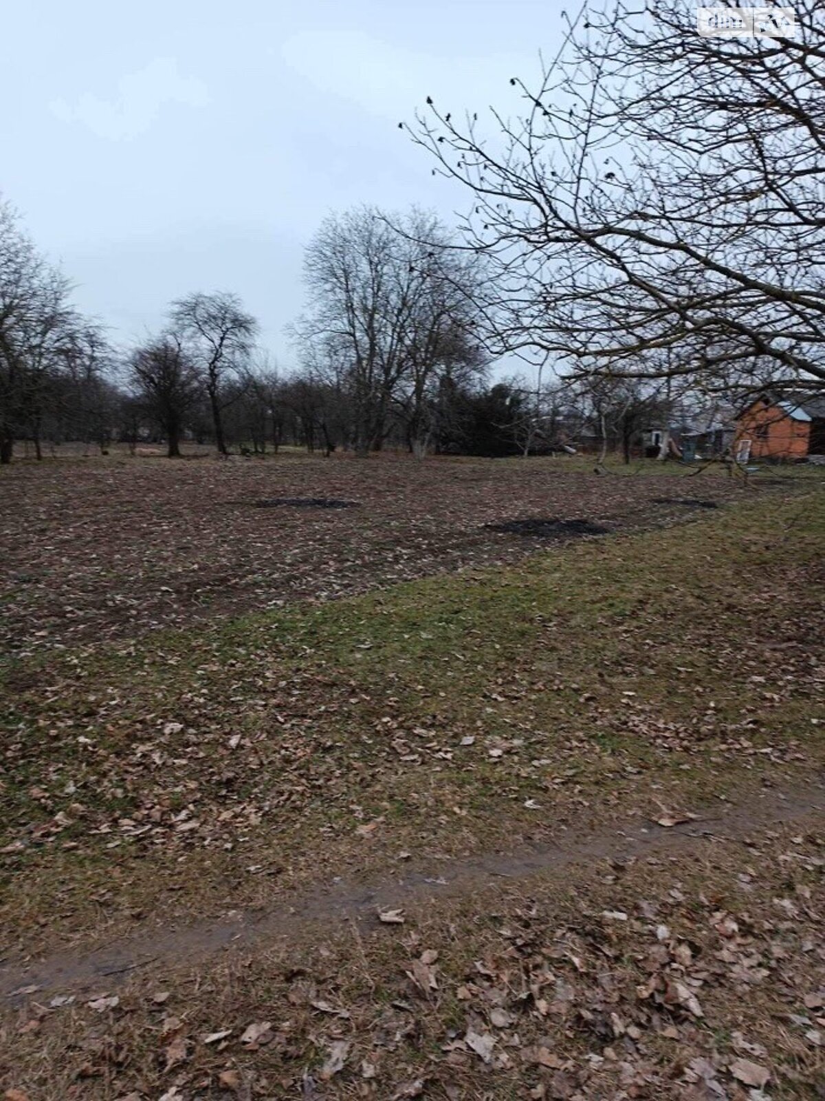 Земельный участок сельскохозяйственного назначения в Мизяковских Хуторах, площадь 22 сотки фото 1