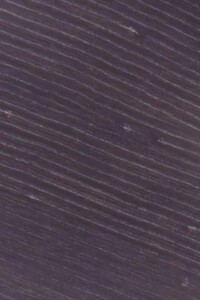 Земельна ділянка сільськогосподарського призначення в Млинівцях, площа 1.5001 Га фото 1