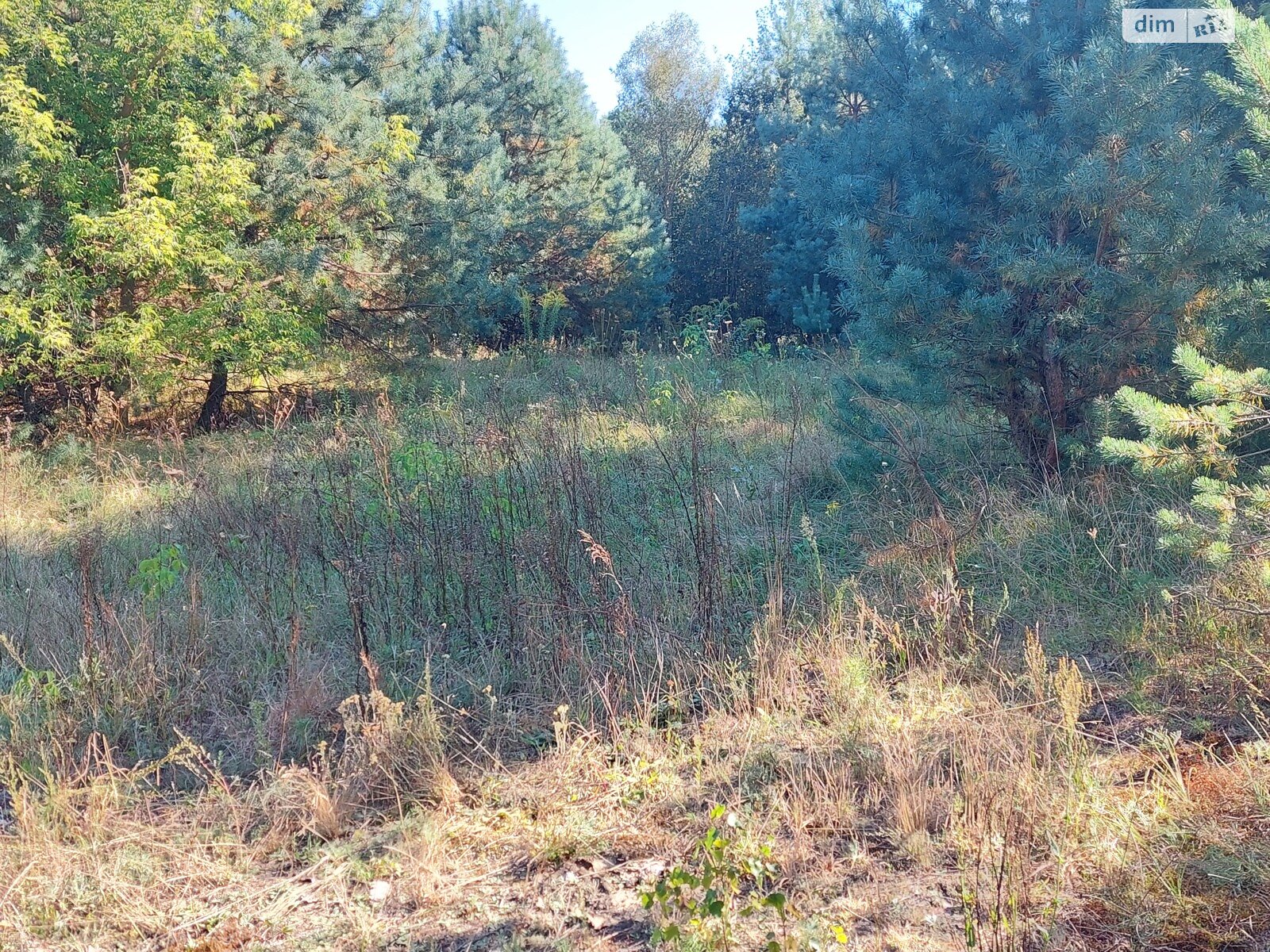 Земельна ділянка сільськогосподарського призначення в Мочулки, площа 3 Га фото 1