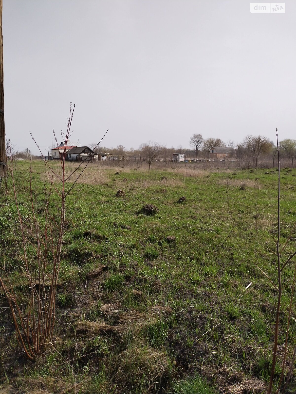 Земельна ділянка сільськогосподарського призначення в Могилівці, площа 35 соток фото 1