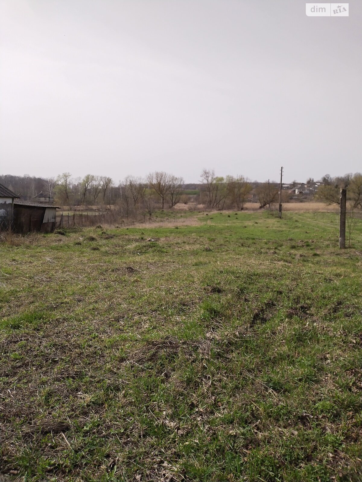 Земельна ділянка сільськогосподарського призначення в Могилівці, площа 35 соток фото 1