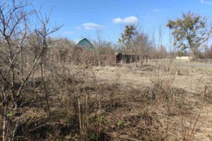 Земельна ділянка сільськогосподарського призначення в Мохнатині, площа 30 соток фото 2