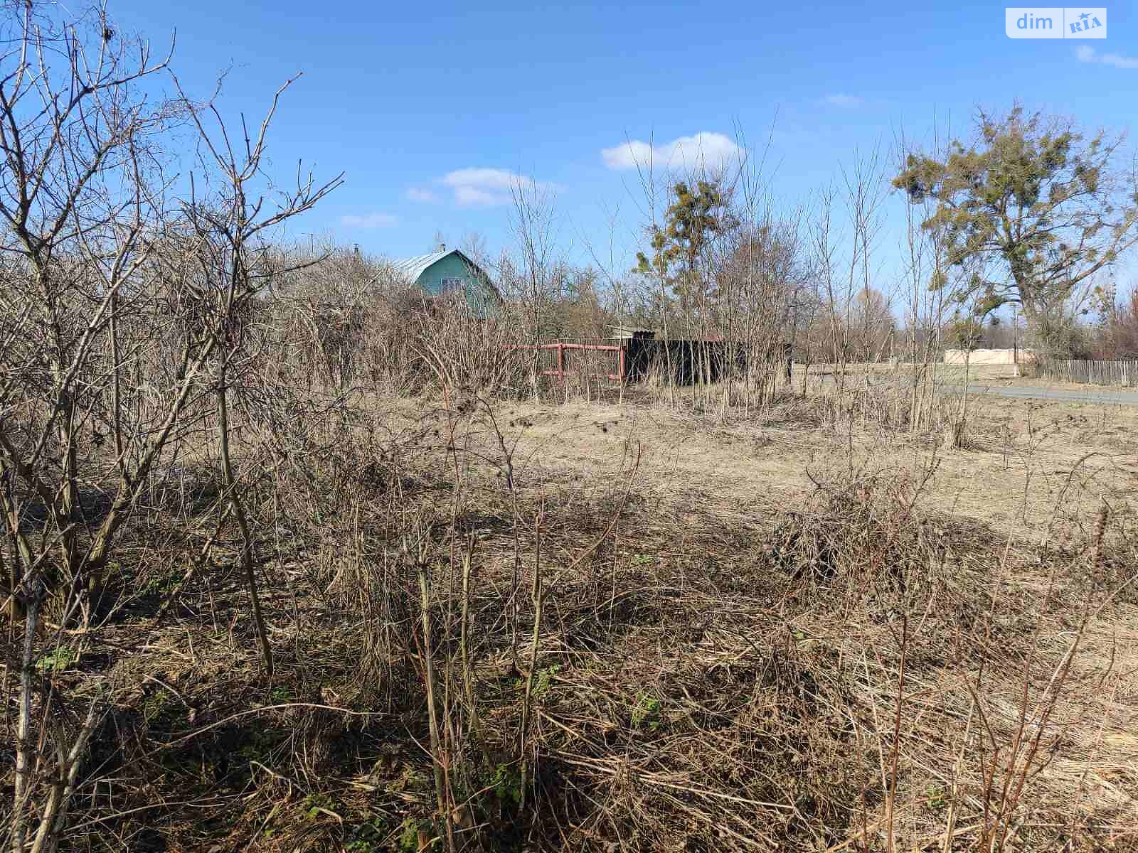 Земельна ділянка сільськогосподарського призначення в Мохнатині, площа 30 соток фото 1