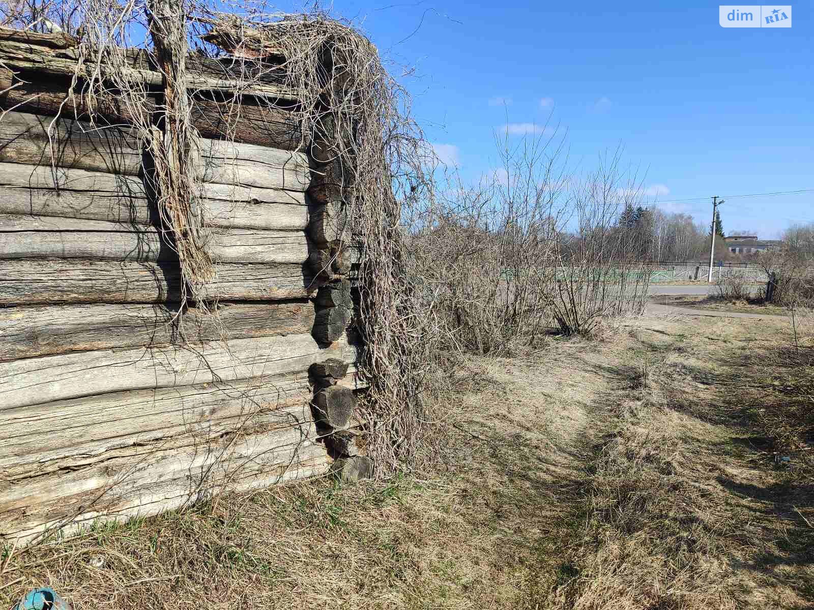 Земельна ділянка сільськогосподарського призначення в Мохнатині, площа 30 соток фото 1