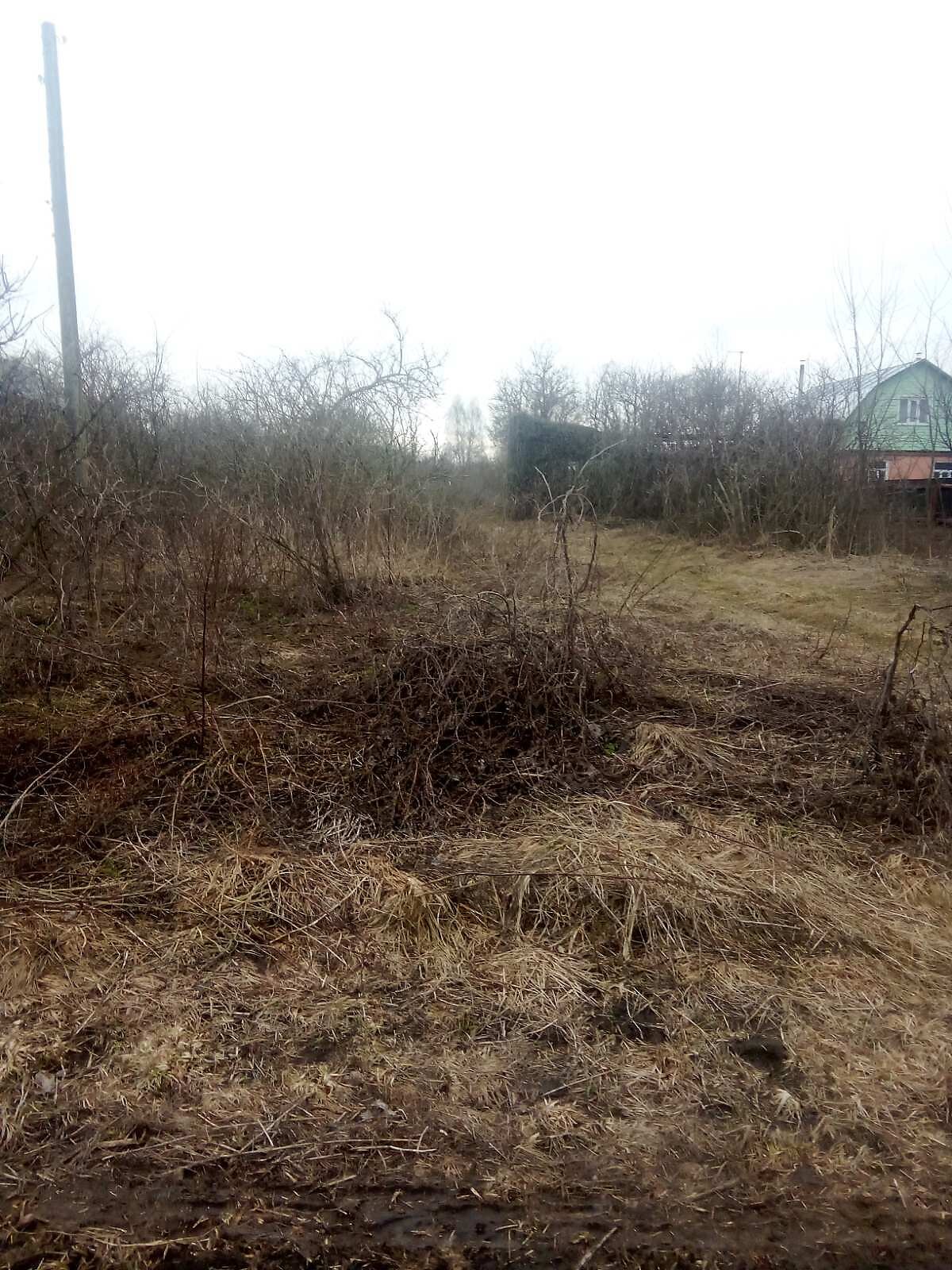 Земельна ділянка сільськогосподарського призначення в Мохнатині, площа 30 соток фото 1