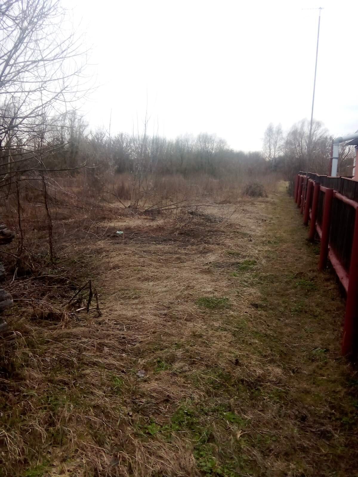 Земельна ділянка сільськогосподарського призначення в Мохнатині, площа 30 соток фото 1