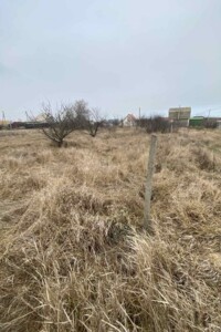 Земельна ділянка сільськогосподарського призначення в Молодіжному, площа 4 сотки фото 2