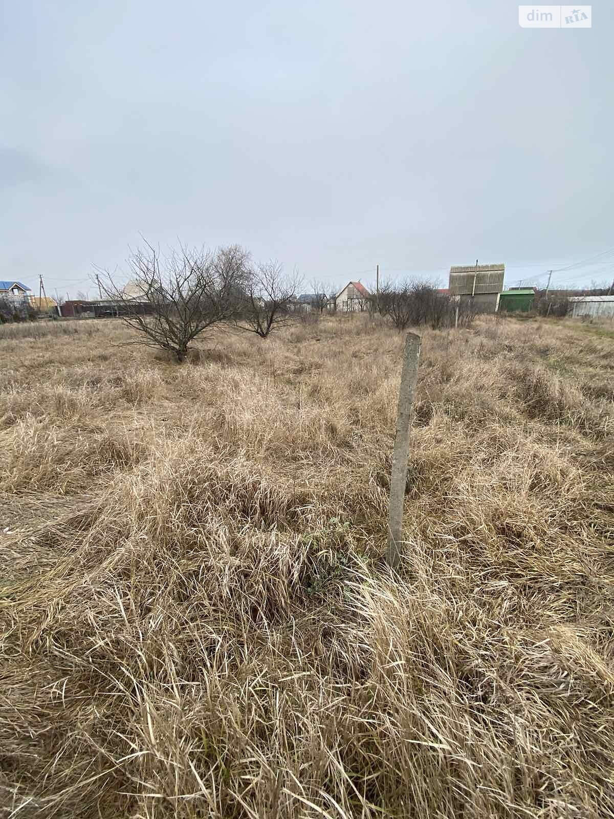 Земельна ділянка сільськогосподарського призначення в Молодіжному, площа 4 сотки фото 1