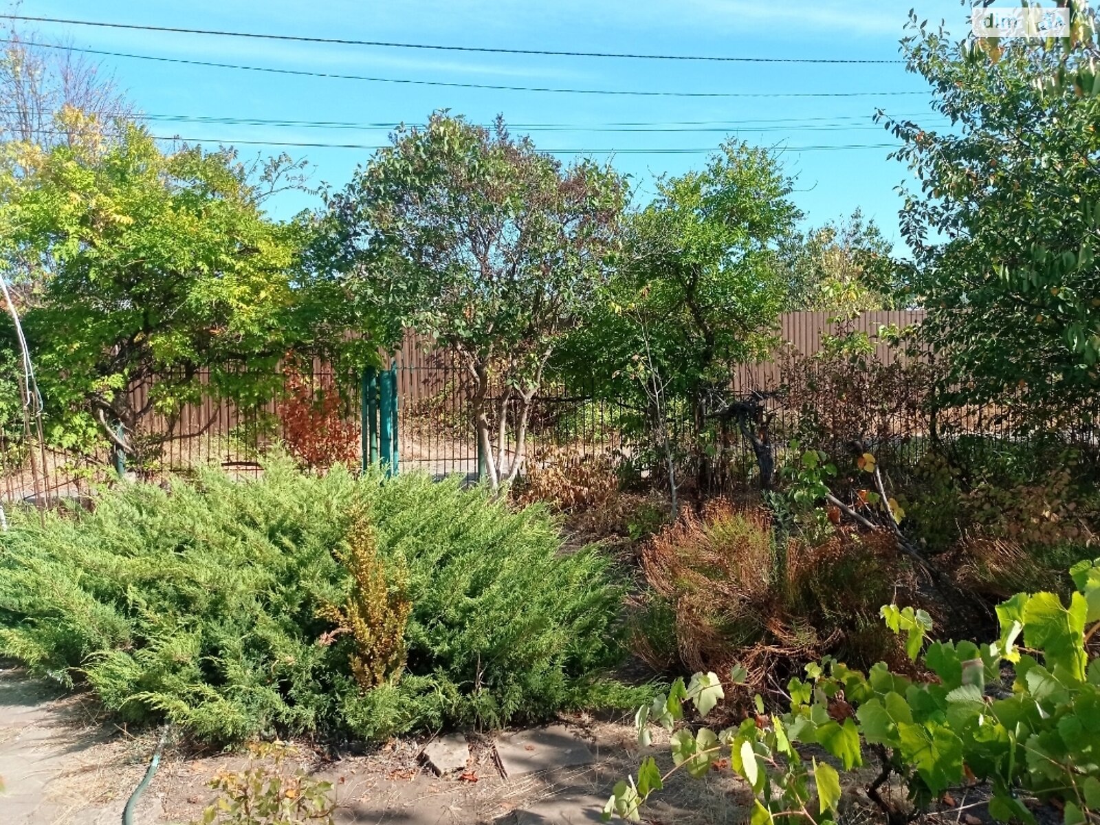 Земельна ділянка сільськогосподарського призначення в Молодіжному, площа 6.15 сотки фото 1