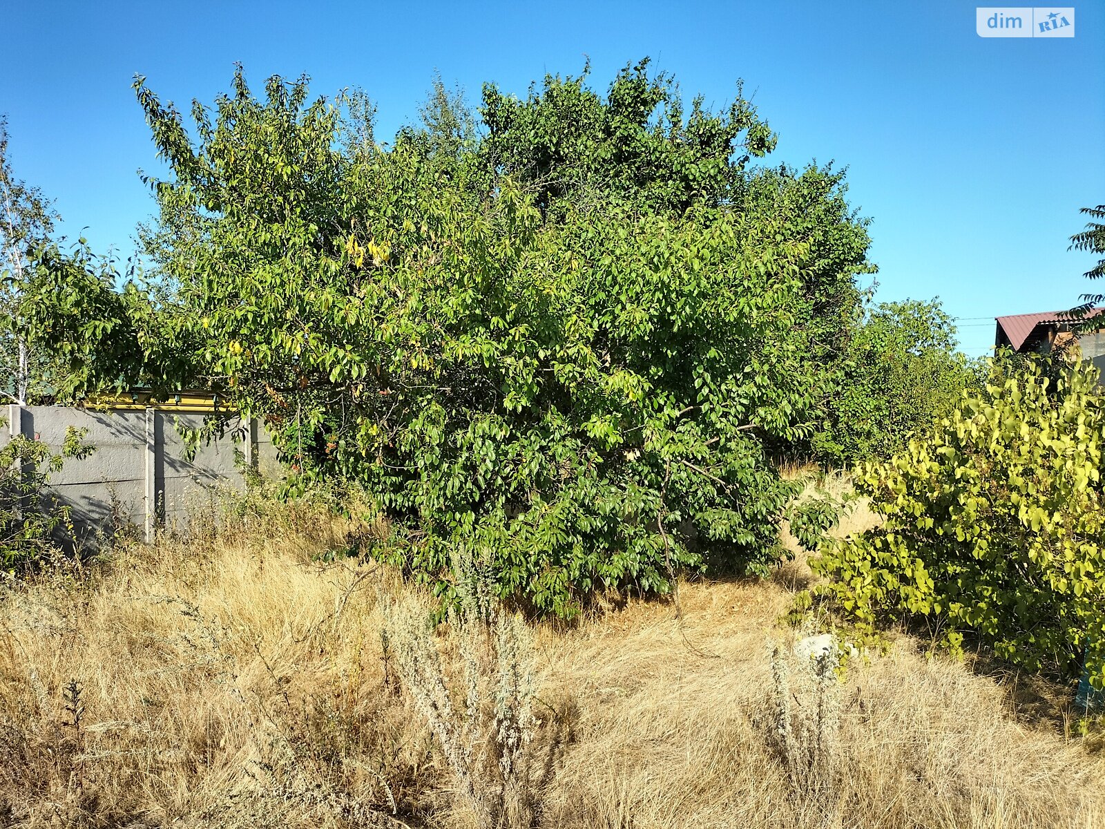 Земельный участок сельскохозяйственного назначения в Молодежном, площадь 4.52 сотки фото 1