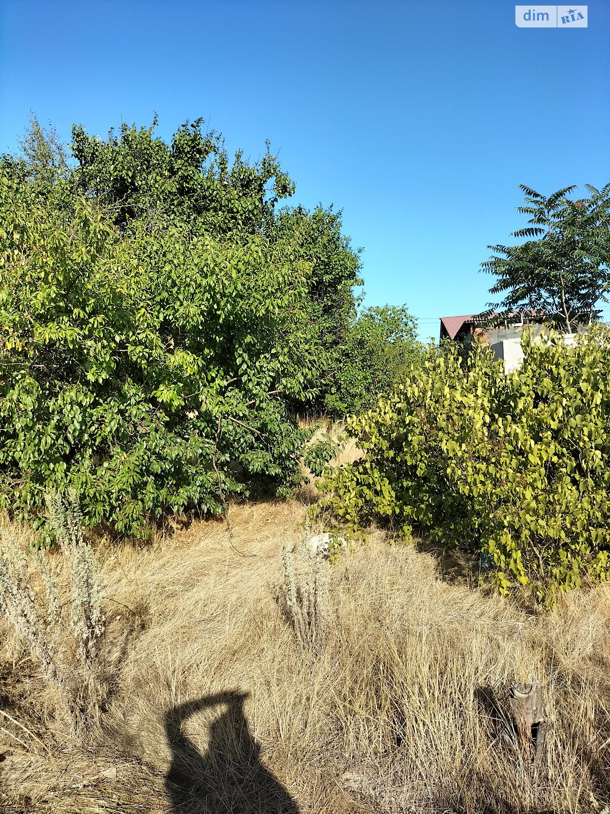 Земельный участок сельскохозяйственного назначения в Молодежном, площадь 4.52 сотки фото 1