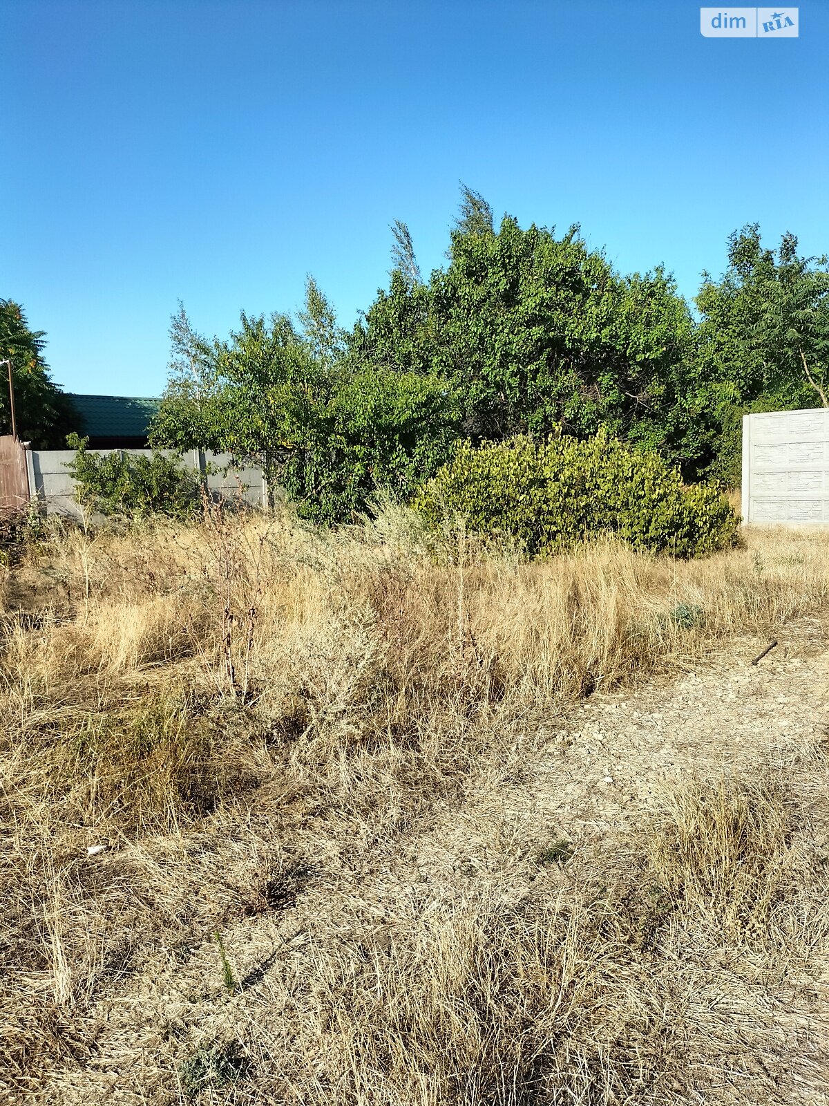 Земельный участок сельскохозяйственного назначения в Молодежном, площадь 4.52 сотки фото 1