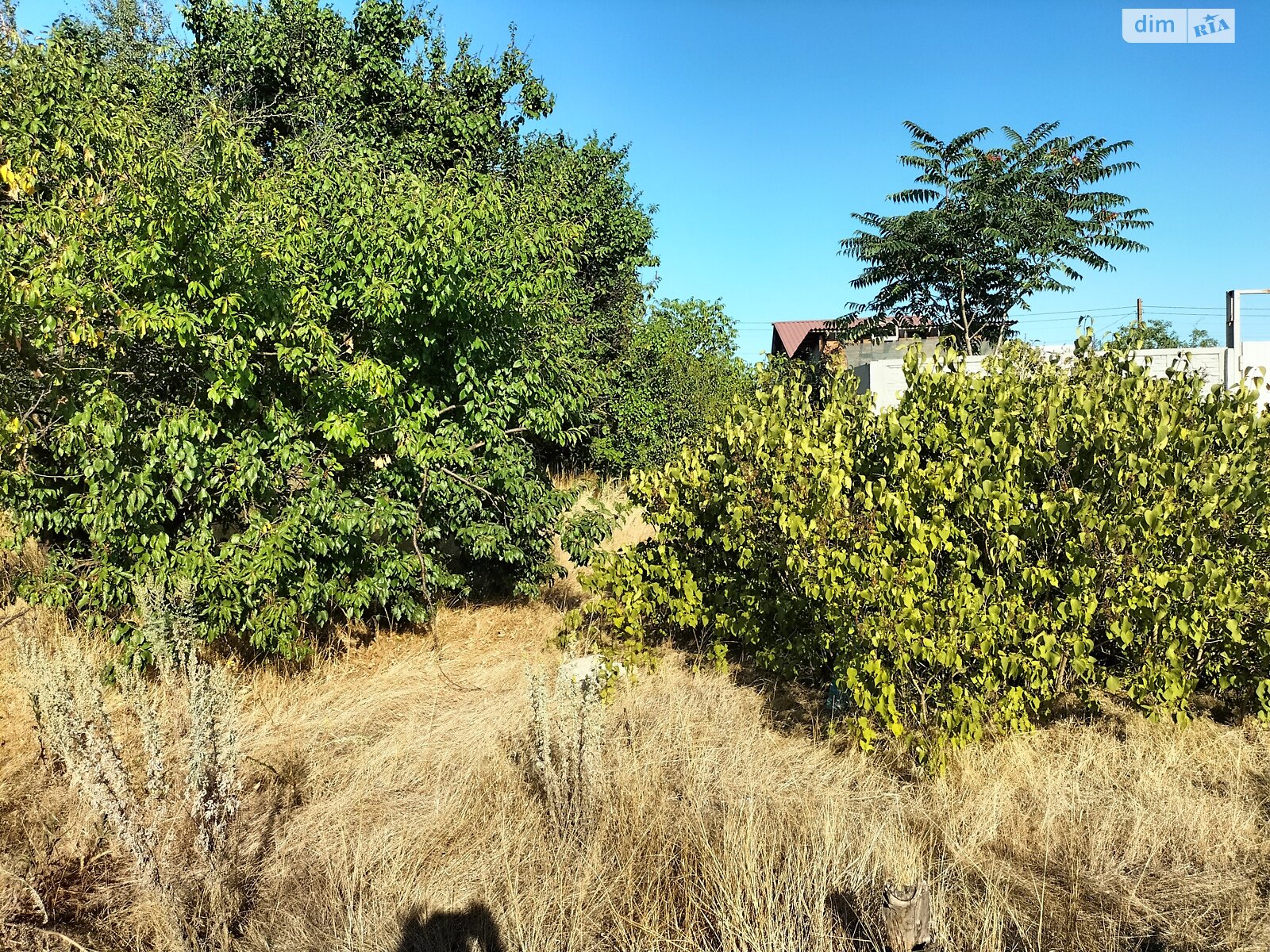 Земельный участок сельскохозяйственного назначения в Молодежном, площадь 4.52 сотки фото 1