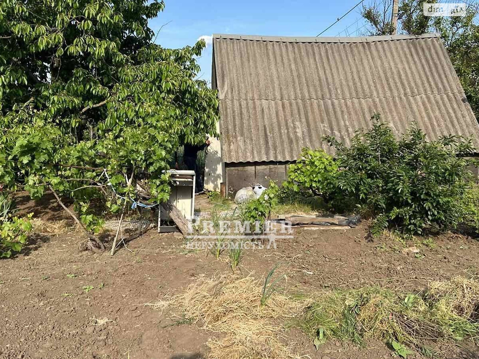 Земельный участок сельскохозяйственного назначения в Молодежном, площадь 6 соток фото 1 Земельный участок сельскохозяйственного назначения в Молодежном, площадь 6 соток фото 1