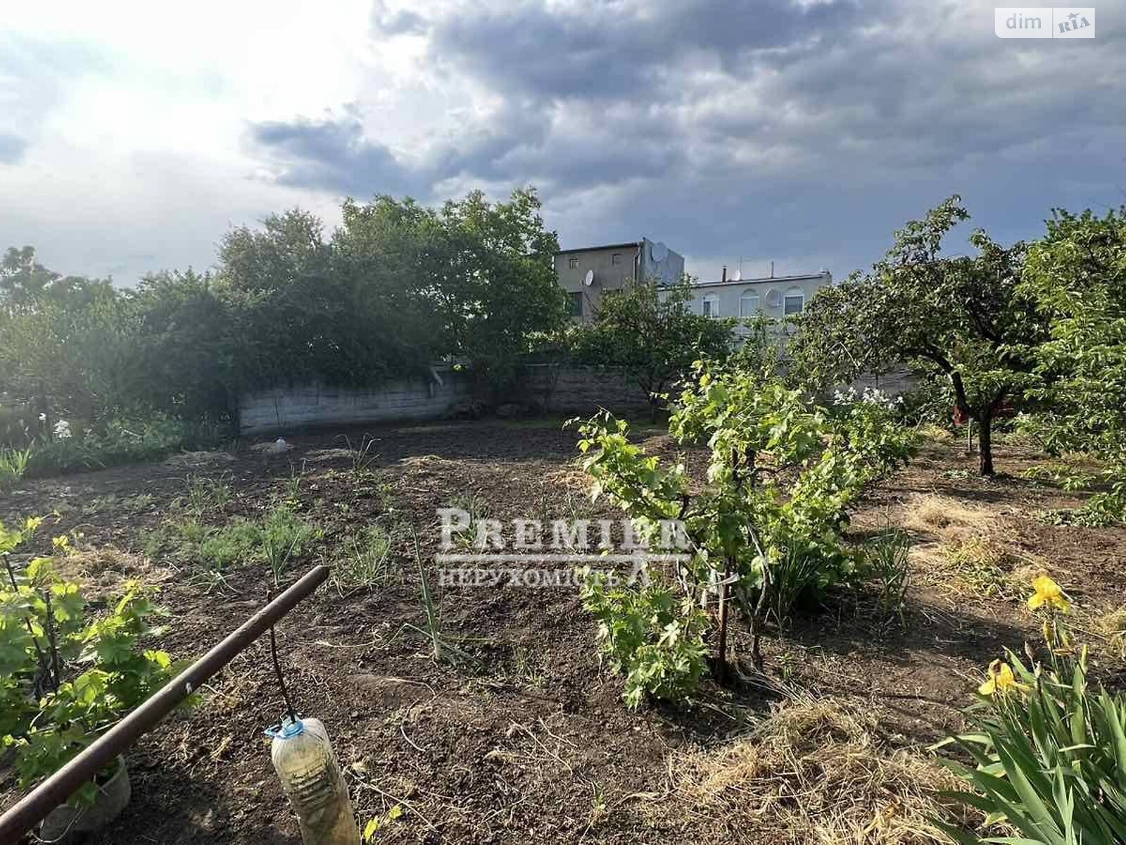 Земельный участок сельскохозяйственного назначения в Молодежном, площадь 6 соток фото 1 Земельный участок сельскохозяйственного назначения в Молодежном, площадь 6 соток фото 1