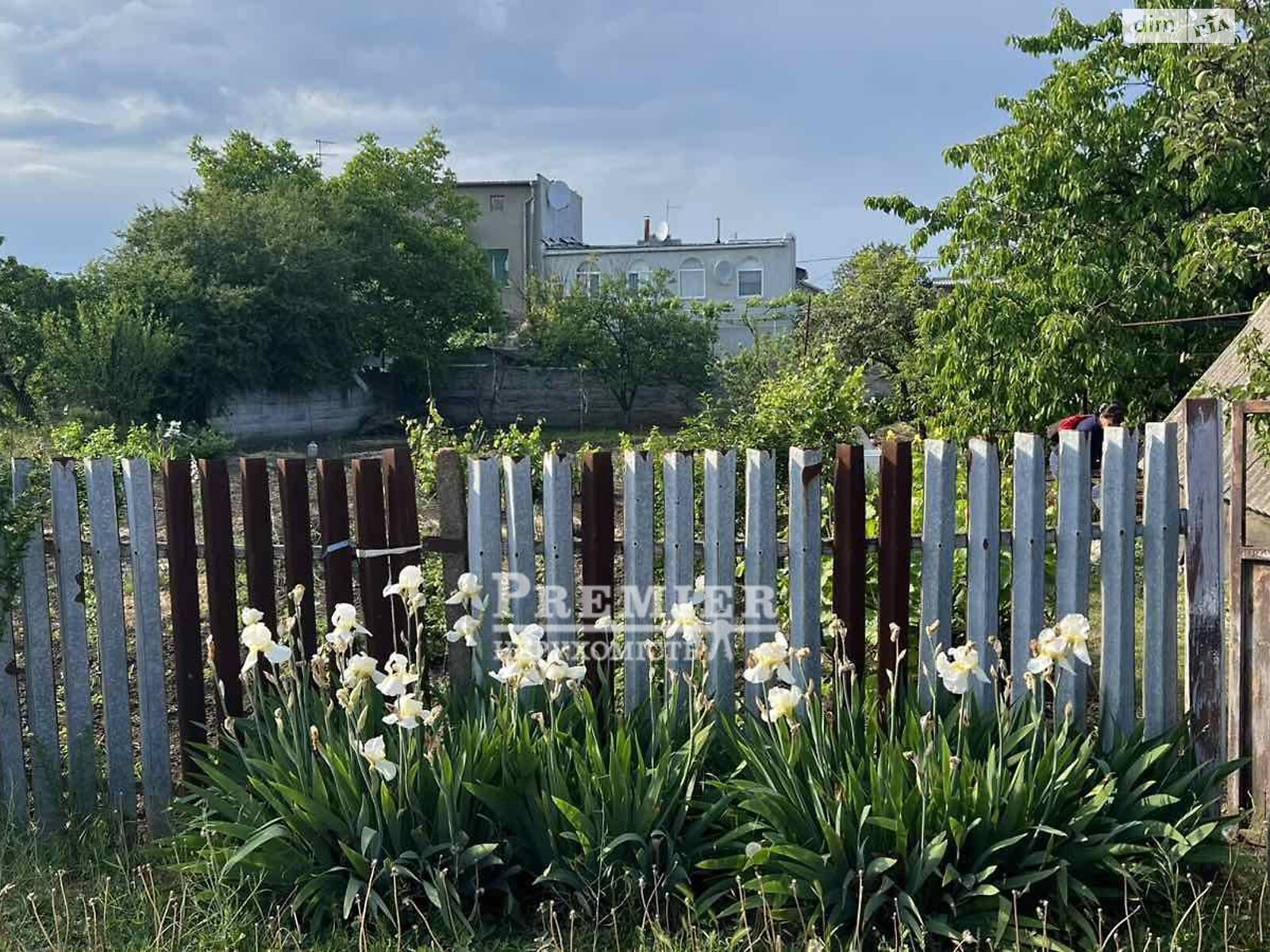 Земельный участок сельскохозяйственного назначения в Молодежном, площадь 6 соток фото 1 Земельный участок сельскохозяйственного назначения в Молодежном, площадь 6 соток фото 1